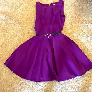 Beautiful purple skater dress